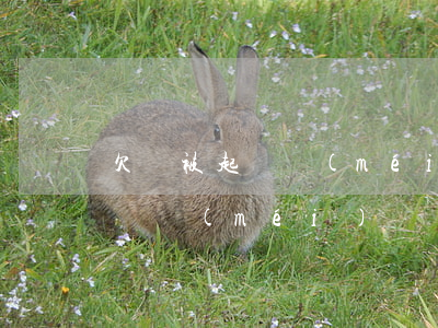 欠賬被起訴沒(méi)錢怎么辦(欠款被起訴沒(méi)錢還會(huì)怎么樣)