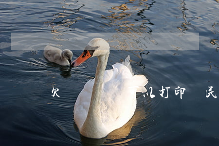 欠賬訴訟書可以打印嗎(民事訴訟書可以打印嗎)