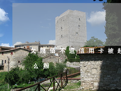 欠賭債不還信用卡被起訴(欠賭債被起訴了怎么辦)