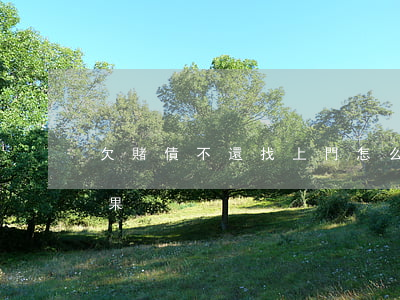 欠賭債不還找上門怎么辦(賭債上門討債的后果)