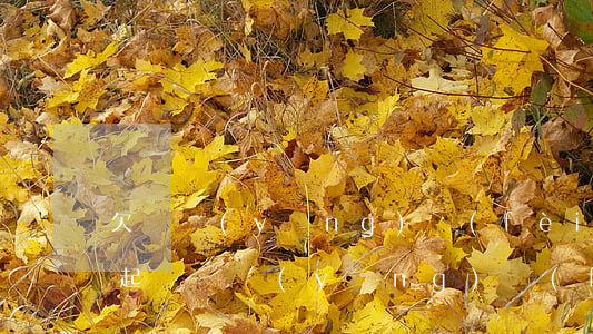 欠贍養(yǎng)費(fèi)多少可以起訴(贍養(yǎng)費(fèi)糾紛訴訟費(fèi))