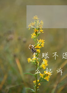 欠账不还有欠条怎么起诉(欠账不还有欠条怎么起诉)