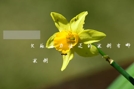 欠账无力偿还的案例有哪些（欠账无力偿还的案例）