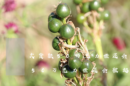 欠货款50万无力偿还会被起诉吗-欠货款50万无力偿还会被起诉吗知乎