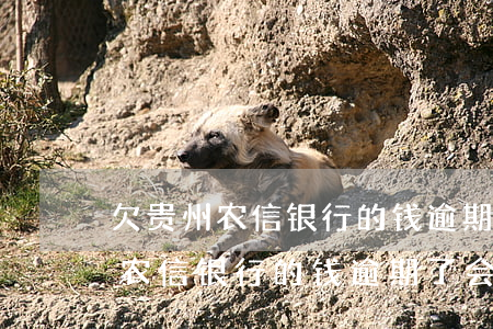 欠贵州农信银行的钱逾期了会怎样-欠贵州农信银行的钱逾期了会怎样处理