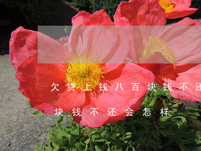 欠贷上钱八百块钱不还会怎样(欠贷上钱八百块钱不还会怎样)