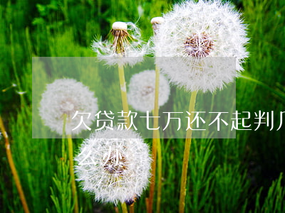 欠贷款七万还不起判几年(贷款7万还不上怎么办)