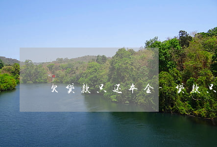 欠贷款只还本金-贷款只还本金合法吗