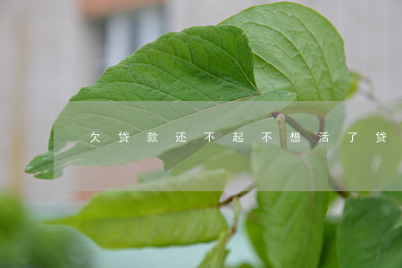 欠贷款还不起不想活了(贷款还不上想死)
