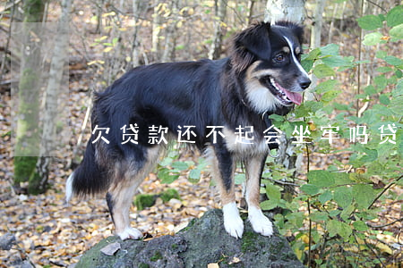 欠贷款还不起会坐牢吗(贷款欠钱不还坐牢吗)