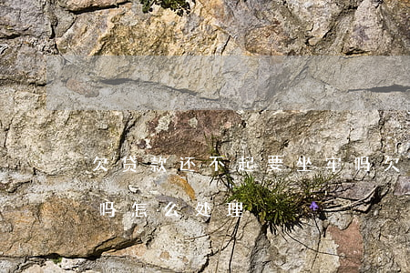 欠贷款还不起要坐牢吗(欠贷款还不起要坐牢吗怎么处理)