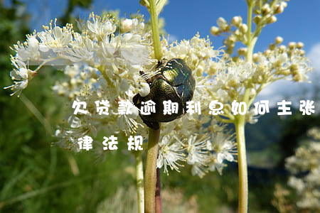 欠贷款逾期利息如何主张(欠款逾期利息的法律法规)