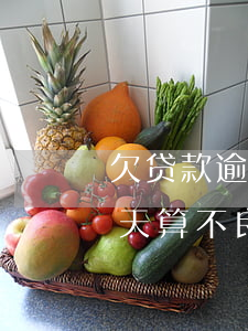 欠贷款逾期多久才是不良(贷款本金逾期多少天算不良?)
