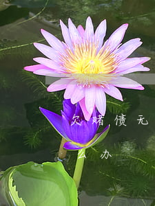欠赌债无力偿还怎么办(欠人赌债无力偿还怎么办)