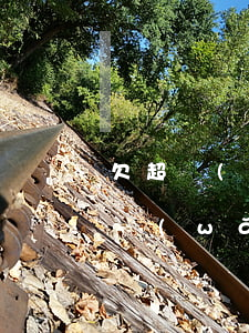 欠超級(jí)多網(wǎng)貸怎么辦(網(wǎng)貸欠債太多了怎么辦)
