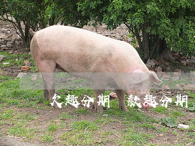 欠趣分期還款(趣分期貸款沒到賬讓我還款)