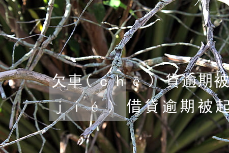 欠車(chē)貸逾期被起訴銀行卡凍結(jié)(借貸逾期被起訴法院凍結(jié)銀行卡)