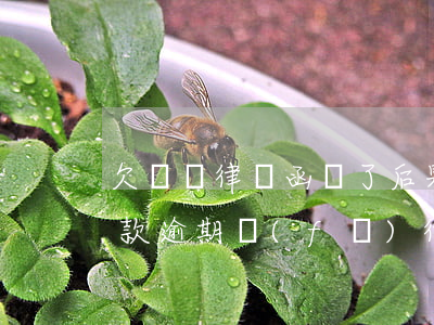 欠車貸律師函來了后果嚴(yán)重嗎（車款逾期發(fā)律師函）