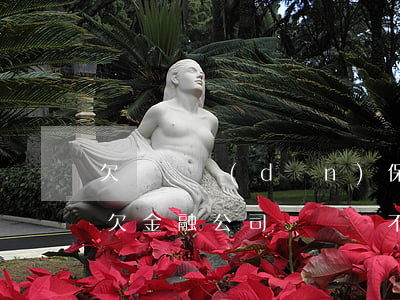 欠車貸擔(dān)保公司錢還不上怎么辦(欠金融公司車貸還不起怎么辦)