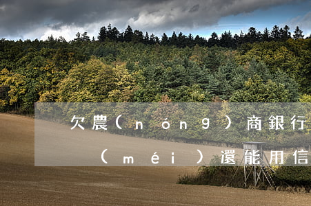 欠農(nóng)商銀行的錢(qián)沒(méi)還能用信用卡嗎-欠農(nóng)商銀行的錢(qián)沒(méi)還能用信用卡嗎知乎