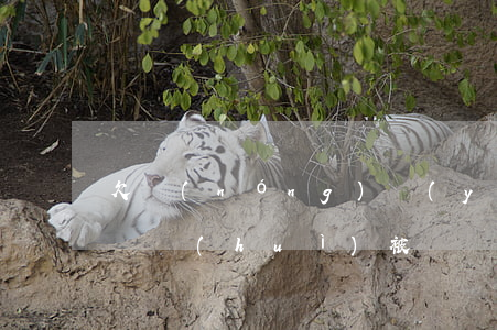 欠農(nóng)業(yè)信用卡多久不還會(huì)被凍結(jié)-欠農(nóng)業(yè)信用卡多久不還會(huì)被凍結(jié)銀行卡