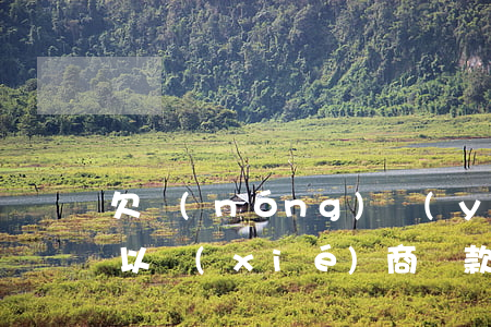 欠農(nóng)業(yè)銀行信用卡可以協(xié)商還款嗎-欠農(nóng)業(yè)銀行信用卡可以協(xié)商還款嗎怎么還