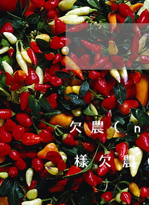 欠農(nóng)民工工資無力償還會怎么樣（欠農(nóng)民工錢無力償還）