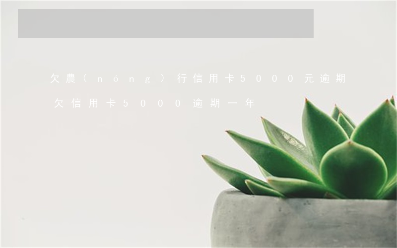 欠農(nóng)行信用卡5000元逾期(欠信用卡5000逾期一年)