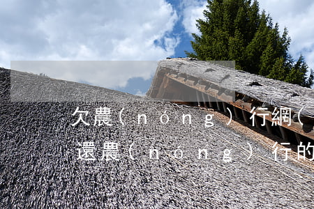 欠農(nóng)行網(wǎng)捷貸未還(農(nóng)行的網(wǎng)捷貸到期了沒錢還怎么辦)
