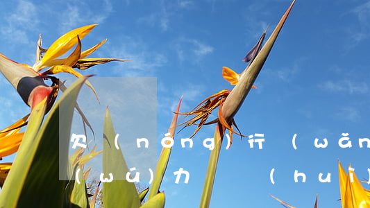 欠農(nóng)行網(wǎng)捷貸無(wú)力償還會(huì)判刑嗎(農(nóng)行網(wǎng)捷貸無(wú)力償還怎么辦)