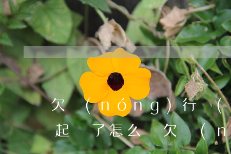 欠農(nóng)行網(wǎng)捷貸被起訴了怎么辦(欠農(nóng)行網(wǎng)捷貸還不起)