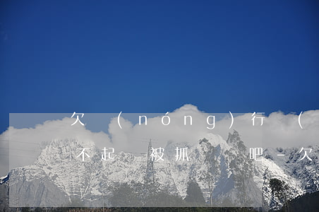 欠農(nóng)行網(wǎng)捷貸還不起會被抓嗎貼吧-欠農(nóng)行網(wǎng)捷貸還不起會被抓嗎貼吧
