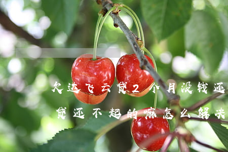 欠达飞云贷2个月没钱还会怎么样(有达飞云贷还不起的嘛,怎么解决的)