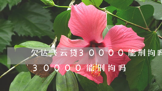 欠达飞云贷30000能刑拘吗(欠达飞云贷30000能刑拘吗)