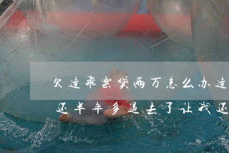 欠达飞云贷两万怎么办(达飞云贷欠一万五没还半年多过去了让我还四万五)
