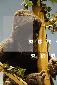 欠达飞云贷还不起怎么办(达飞云贷倒闭了么?欠的钱是不是不用还了)