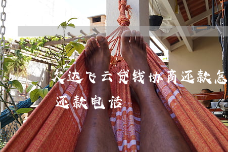 欠达飞云贷钱协商还款怎么还(达飞云贷协商还款电话)