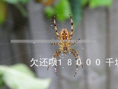 欠还呗18000千块钱