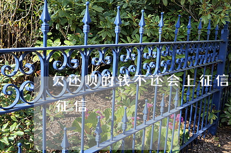 欠还呗的钱不还会上征信吗(还呗贷款上不上征信)