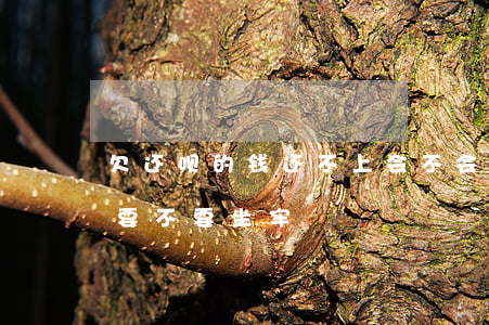 欠还呗的钱还不上会不会坐牢(欠借呗还不上要不要坐牢)