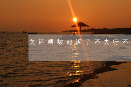 欠还呗被起诉了不去行不(可以起诉还呗吗?)