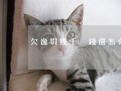 欠逸唄幾千沒錢還怎么辦(欠借唄6萬多嗎)
