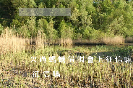 欠過螞蟻借唄會上征信嘛(螞蟻借唄不還會上征信嗎)