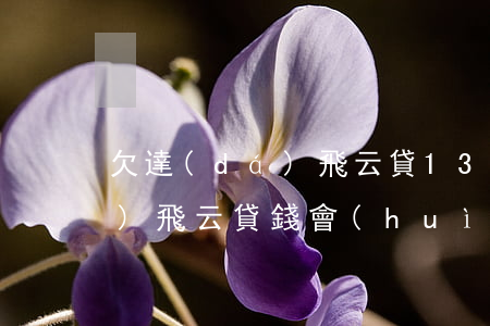 欠達(dá)飛云貸13000(欠達(dá)飛云貸錢會(huì)凍結(jié)微信嗎)