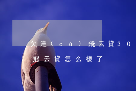欠達(dá)飛云貸3000元(達(dá)飛云貸怎么樣了)