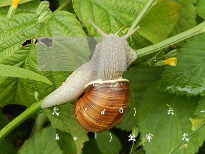 欠達(dá)飛云貸一萬(wàn)五會(huì)坐牢嗎(欠達(dá)飛云貸的錢(qián)現(xiàn)在到底應(yīng)該還給誰(shuí))