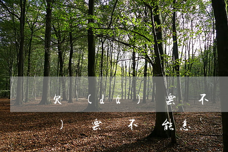 欠達(dá)飛云貸不還能怎樣(欠達(dá)飛云貸不還能怎樣)