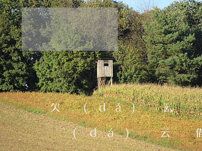 欠達(dá)飛云貸兩萬(wàn)多(我在達(dá)飛云貸借了28000)
