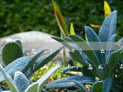 欠達(dá)飛云貸八萬(wàn)不還會(huì)怎么樣(欠達(dá)飛云貸八萬(wàn)不還會(huì)怎么樣)