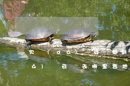 欠達(dá)飛云貸收到仲裁通知書(達(dá)飛云貸去哪里告他們?)
